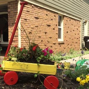 Meet your Posher, Mayra